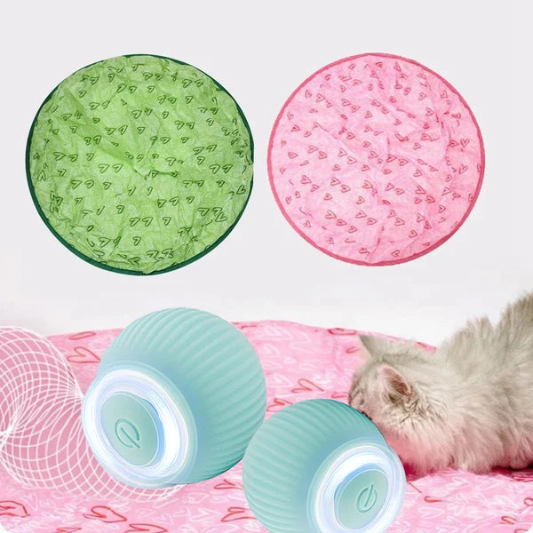 Interactive Toy for Cats