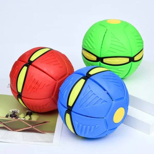 Doggy Disc Ball Toy