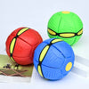 Doggy Disc Ball Toy