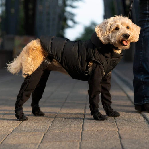 Adjustable and Connected Dog Boots