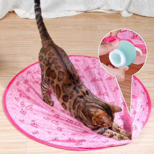 Interactive Toy for Cats