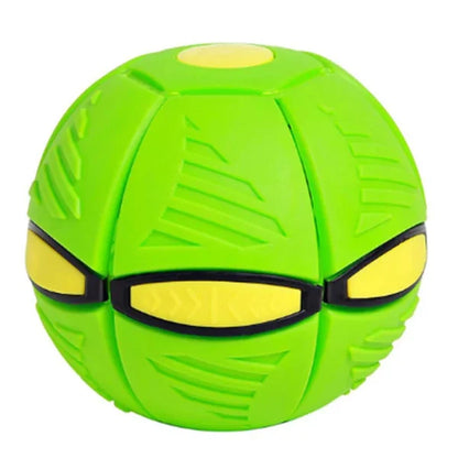 Doggy Disc Ball Toy