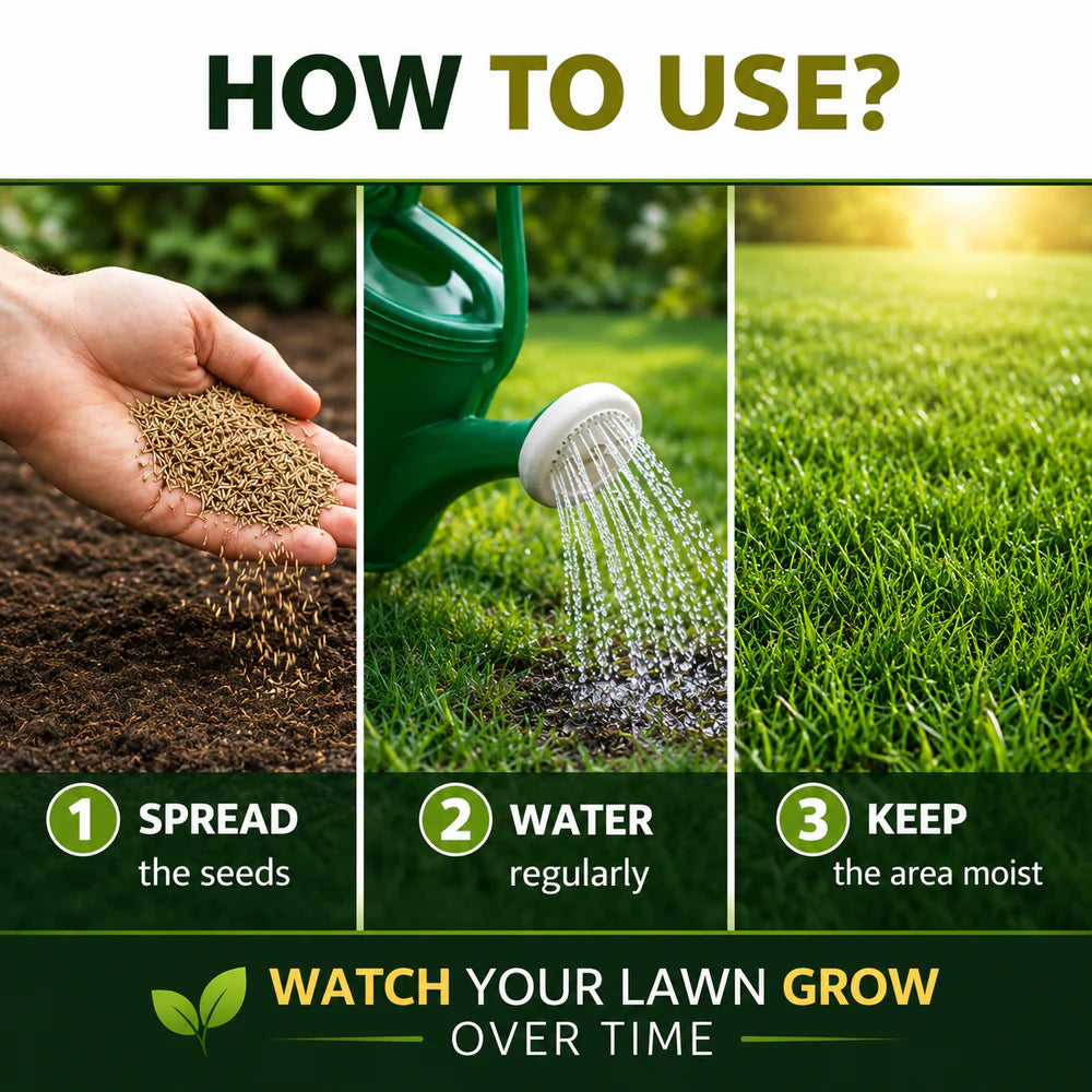 Premium Grass Seed Resealable Bag
