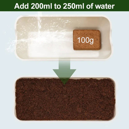 Organic Coconut Coir for Plants