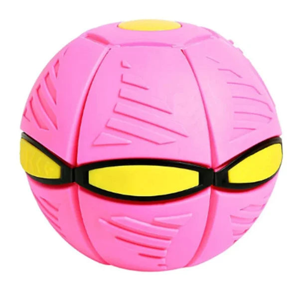 Doggy Disc Ball Toy