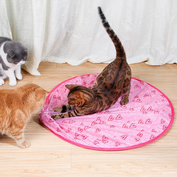 Interactive Toy for Cats