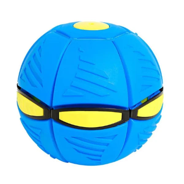 Doggy Disc Ball Toy