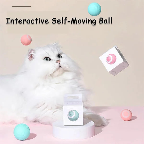 Interactive Toy for Cats