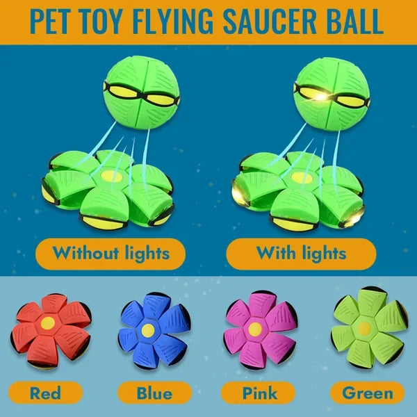 Doggy Disc Ball Toy