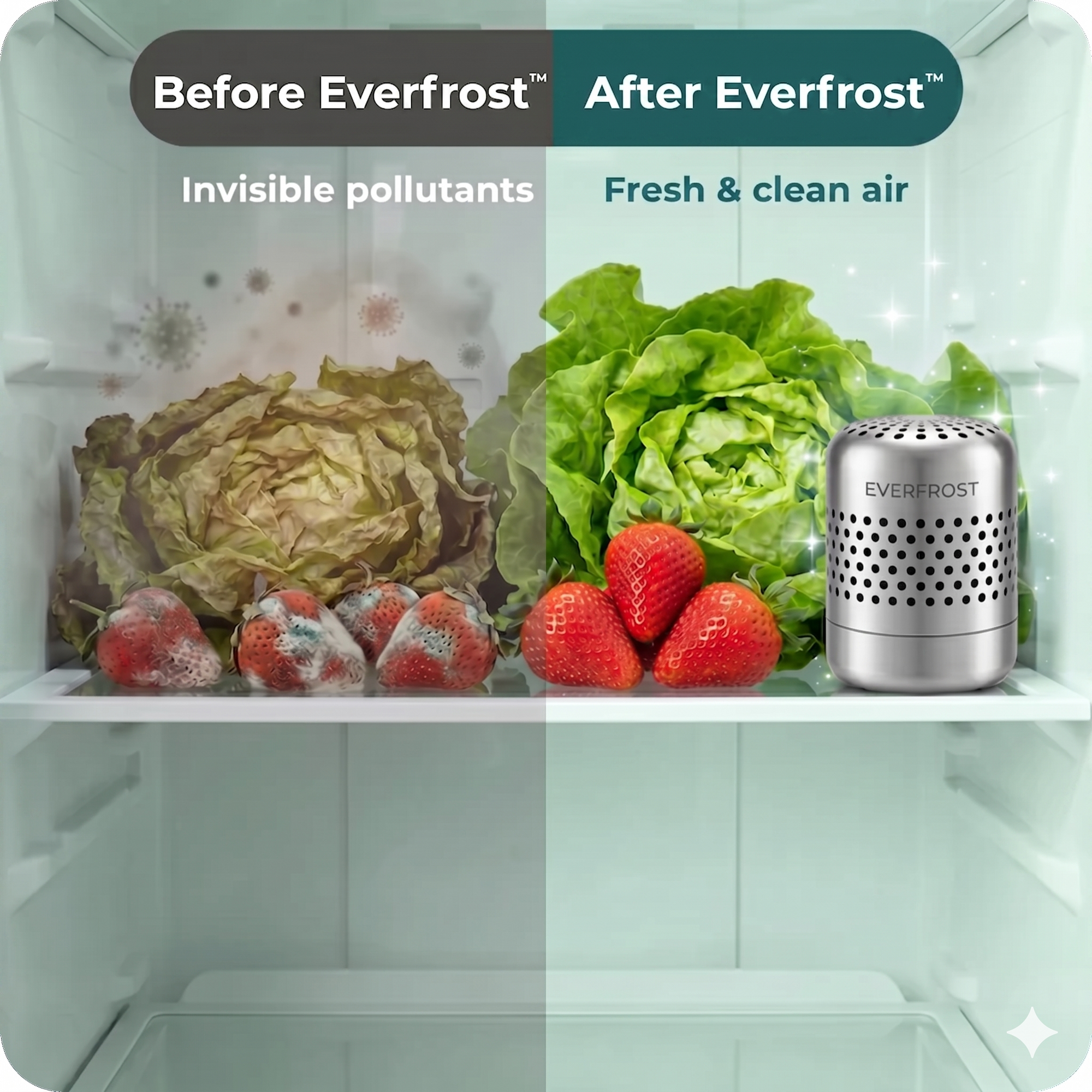 EverFrost™ BioShield