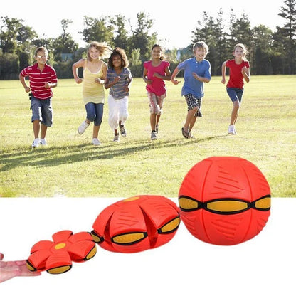 Doggy Disc Ball Toy