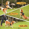 Load image into Gallery viewer, Dog Harness and Retractable Leash Set All-in-One