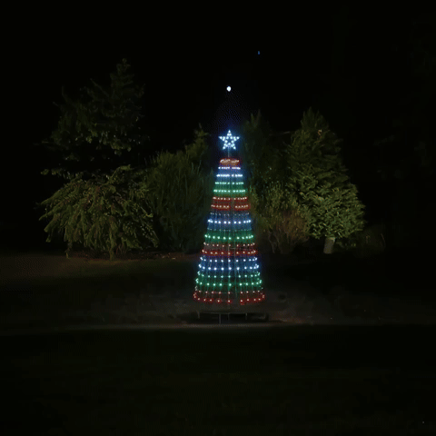Christmas Light Show Tree