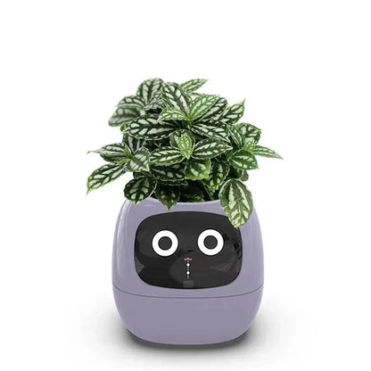 Smart Planter