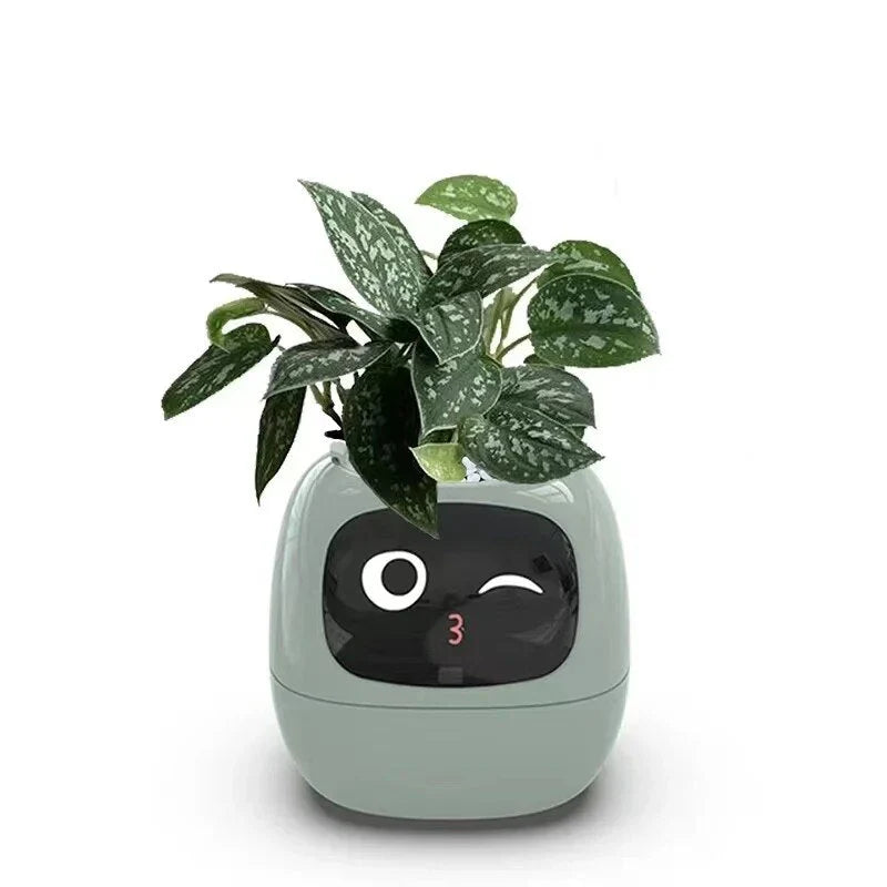 Smart Planter