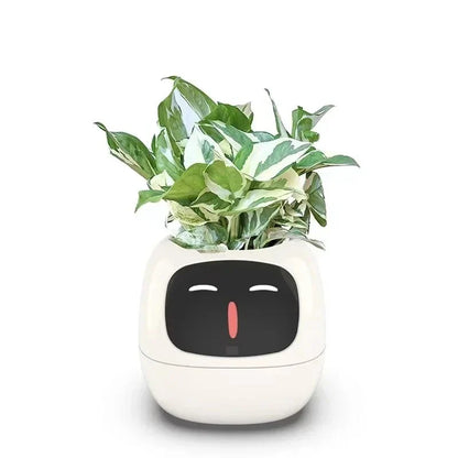 Smart Planter