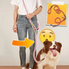 Hands Free Dog Leashes