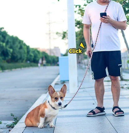 Hands Free Dog Leashes