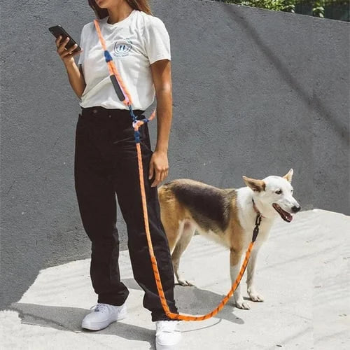 Hands Free Dog Leashes